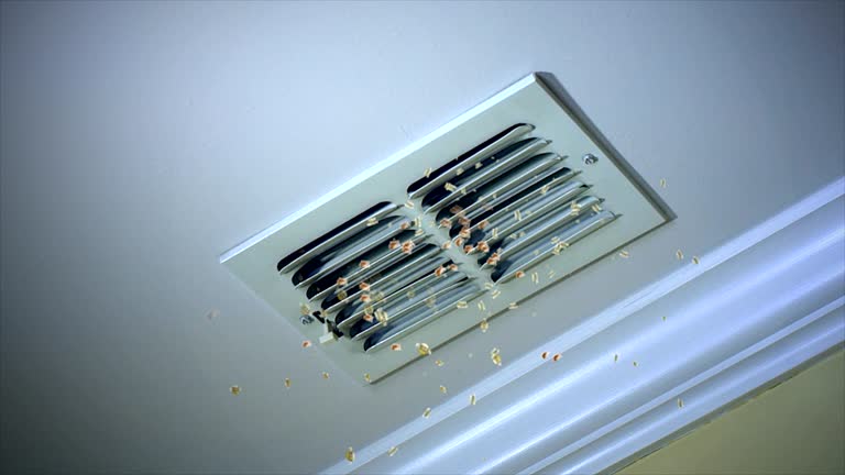 Best Ventilation Cleaning Services  in La Palma, CA